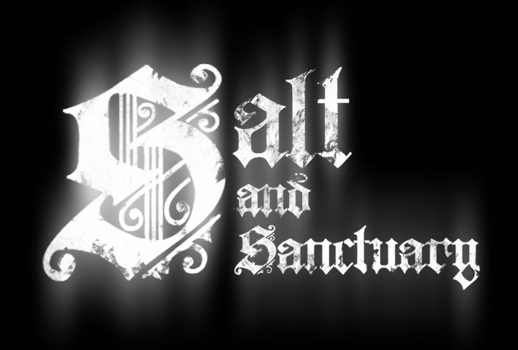 Salt and Sanctuary 完品 ソルト アンド サンクチュアリ - テレビゲーム